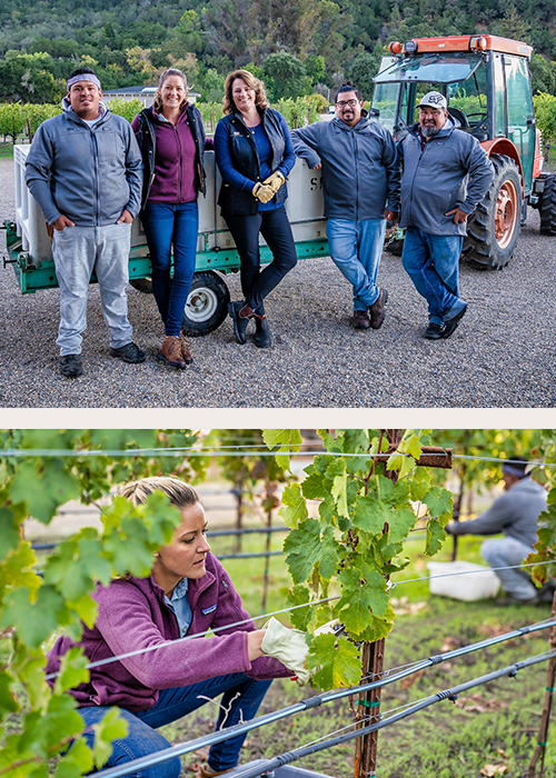 Vineyard workers and grounds