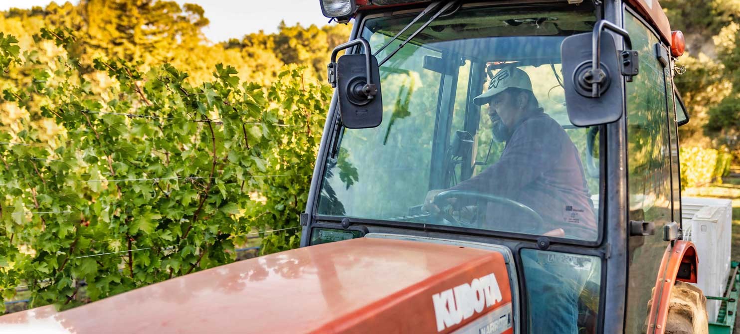 Tractor being driven in the vineyards