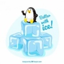 Ice pack